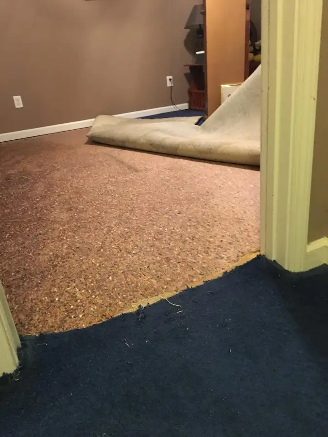 Carpet pad removal revealing water damage during Drying & Dehumidification in Vienna