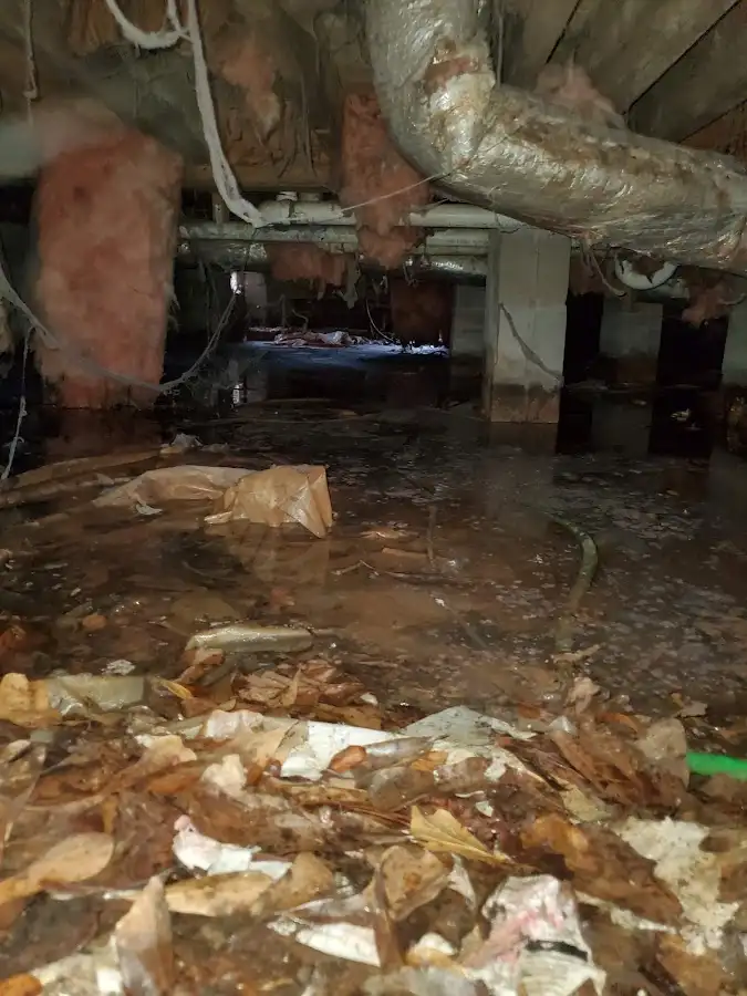 Crawl space flood assessment for Leak Detection & Repair in Vienna