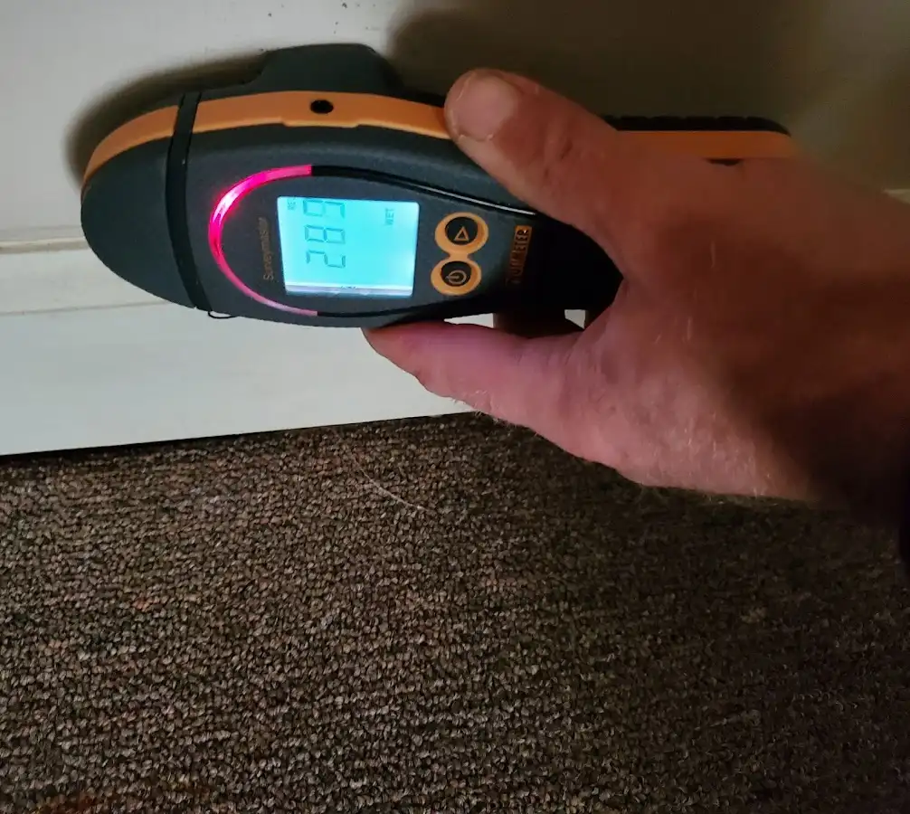Moisture detection at baseboard during Mold Inspection & Testing in Vienna